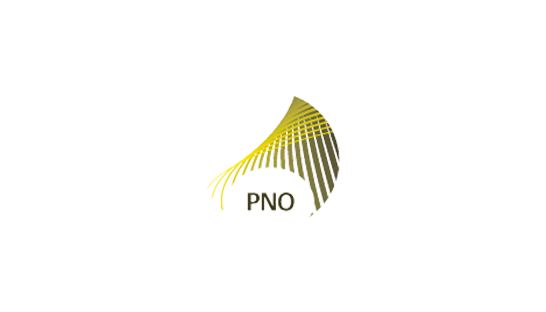 PNO Consultants